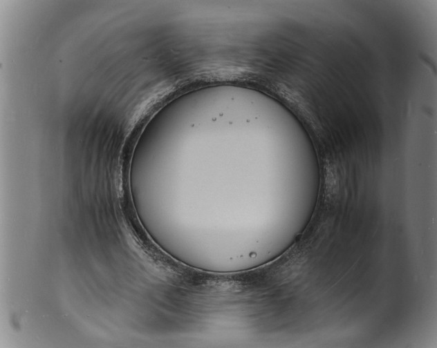 X0000101670582200807241442