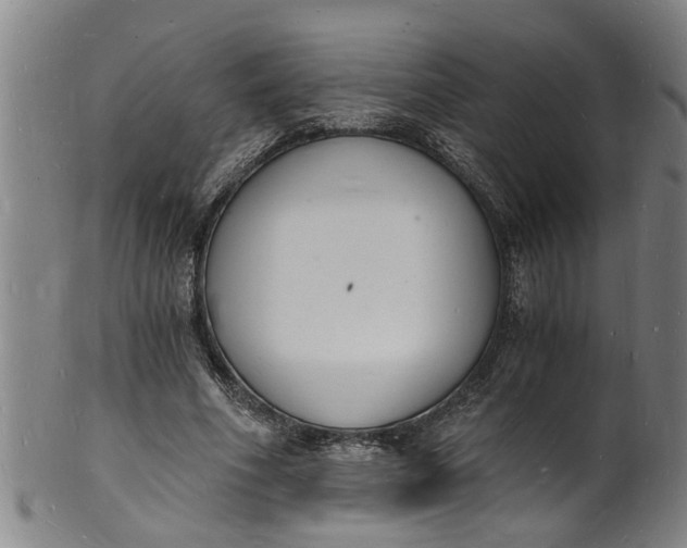 X0000101670586200807241442