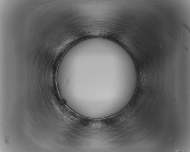 X0000101670587200807241442