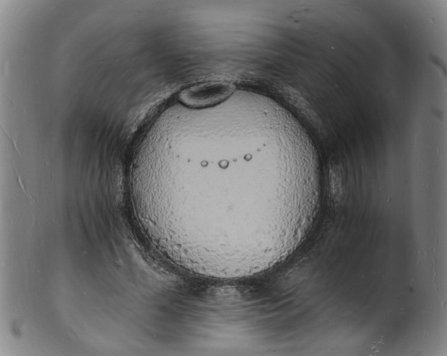X0000101670588200807241442