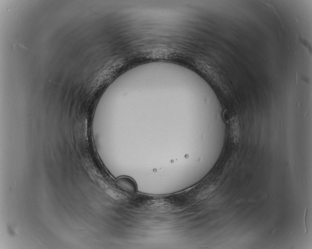 X0000101670589200807241442