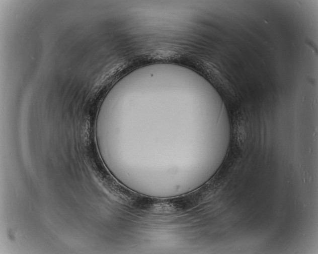 X0000101670591200807241442