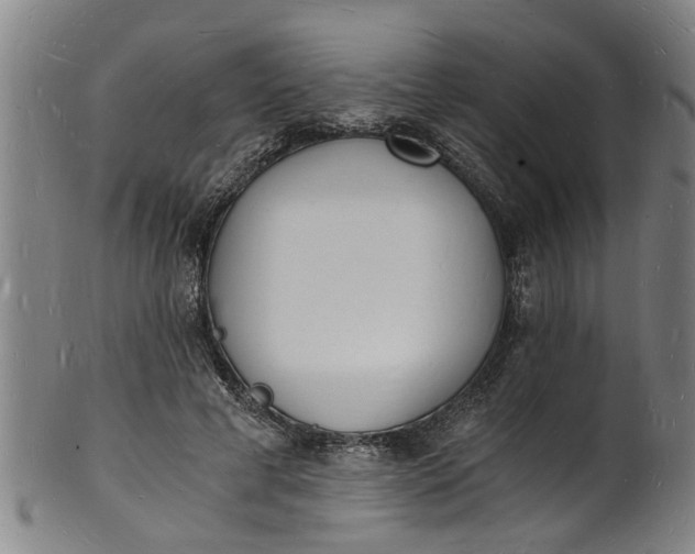X0000101670593200807241442