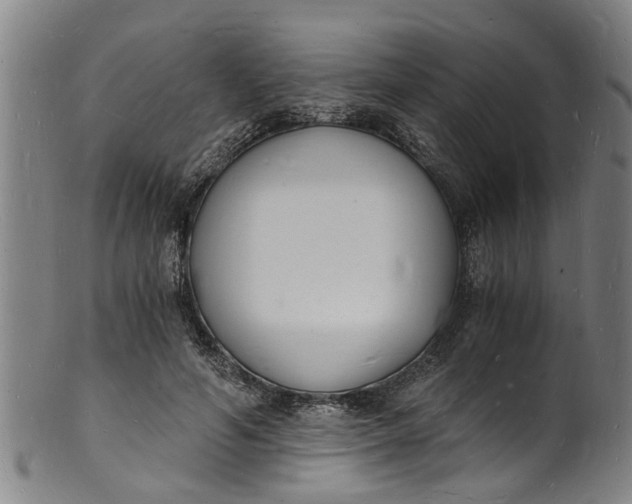 X0000101670594200807241442
