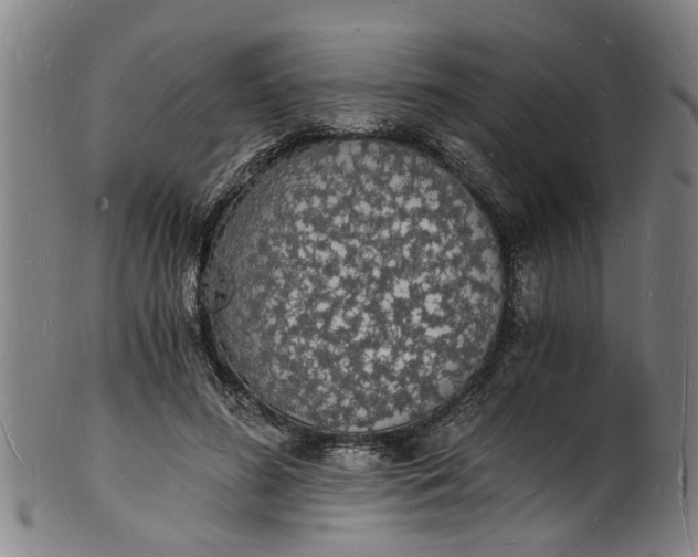 X0000101670596200807241442