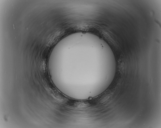 X0000101670597200807241442