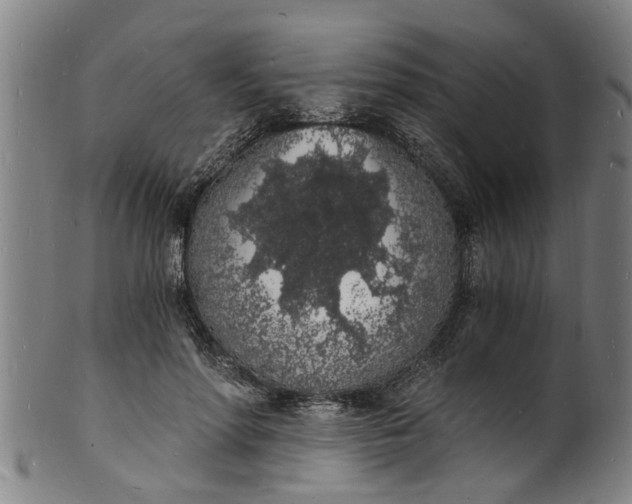 X0000101670598200807241442