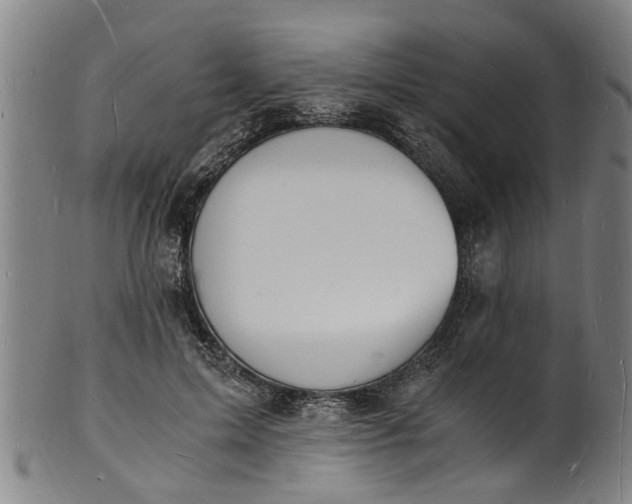 X0000101670599200807241442