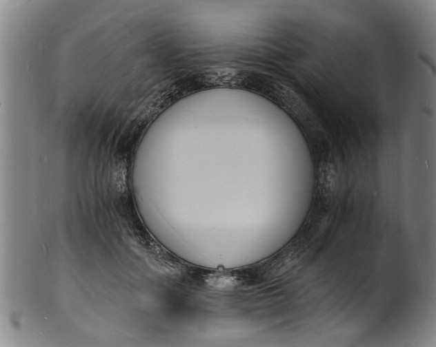 X0000101670602200807241442