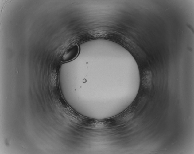 X0000101670604200807241442