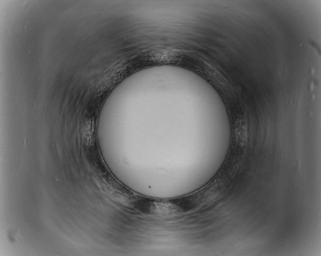 X0000101670605200807241442