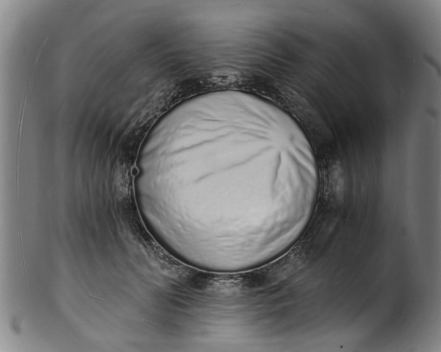 X0000101670606200807241442