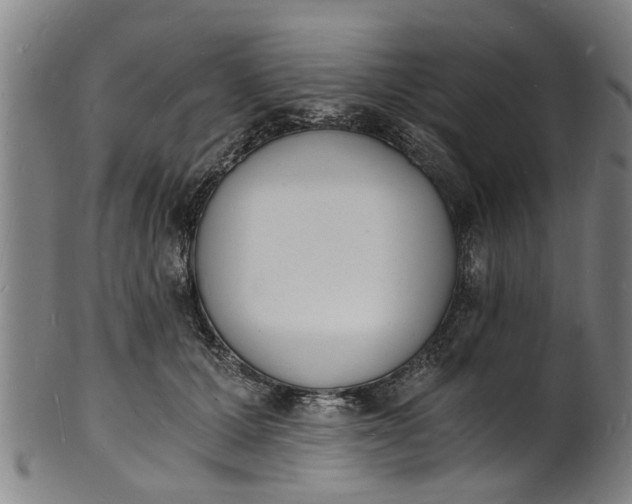 X0000101670607200807241442