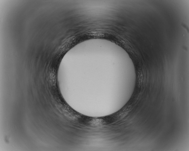 X0000101670609200807241442