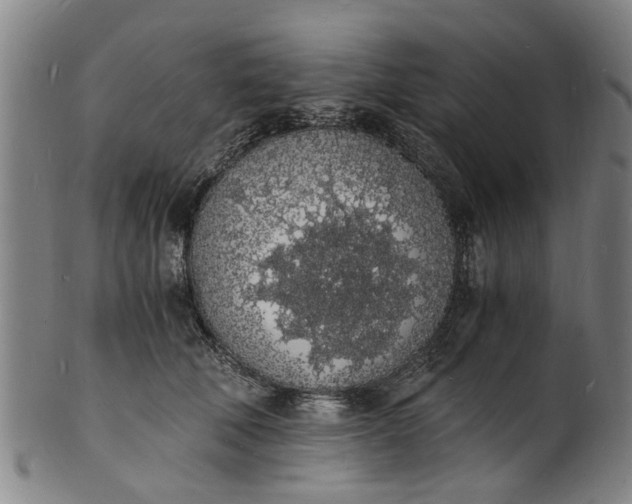 X0000101670610200807241442