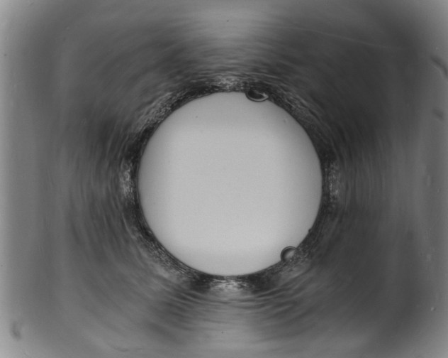 X0000101670611200807241442