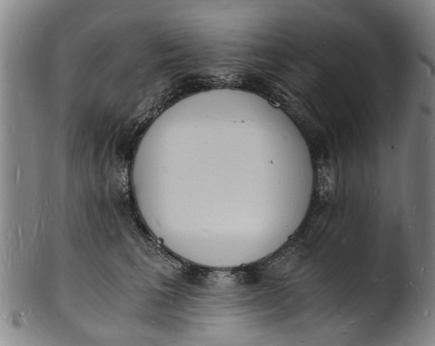 X0000101670613200807241442