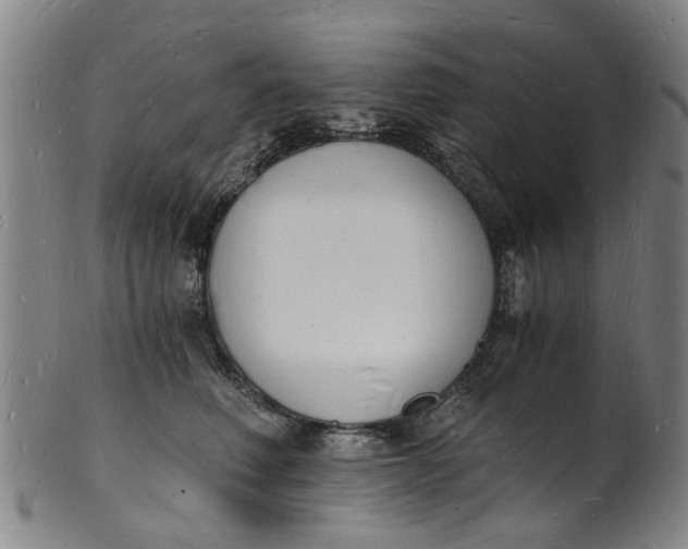 X0000101670614200807241442