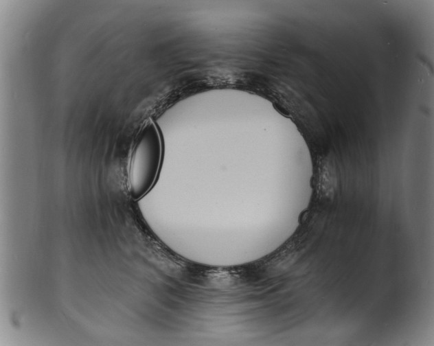 X0000101670616200807241442