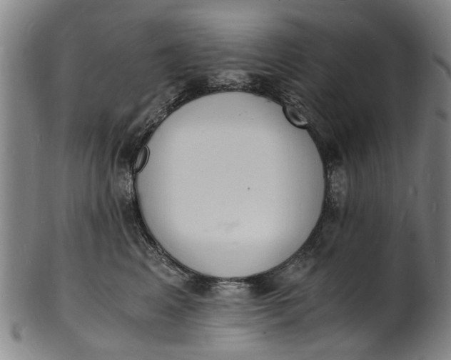 X0000101670617200807241442