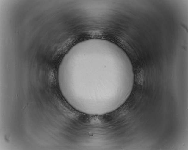 X0000101670618200807241442