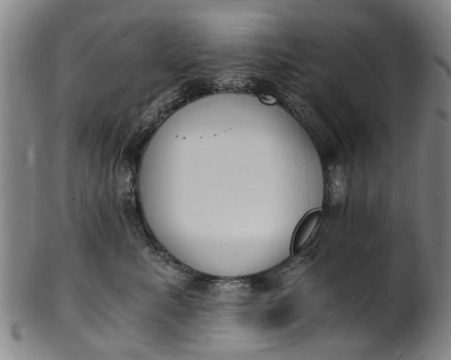 X0000101670619200807241442