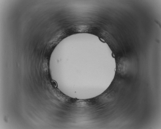 X0000101670620200807241442