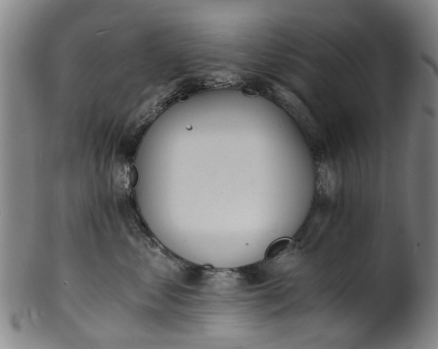 X0000101670621200807241442