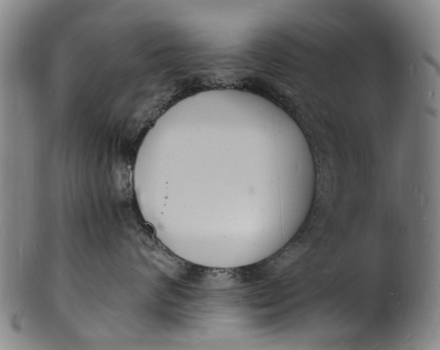 X0000101670624200807241442