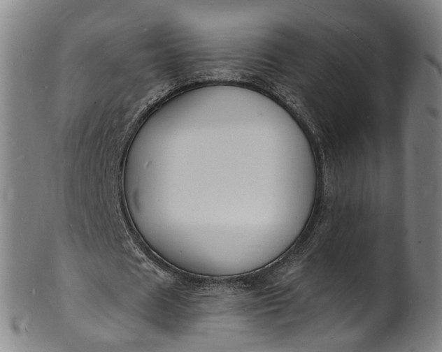 X0000101670625200807241441
