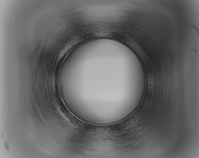 X0000101670626200807241441