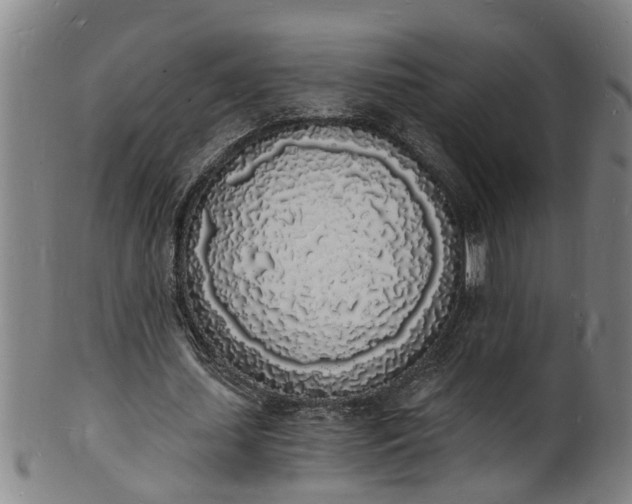 X0000101670627200807241441