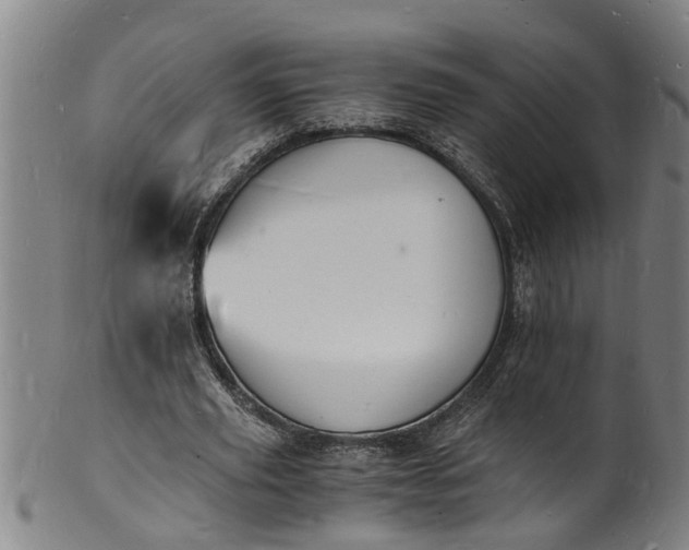 X0000101670629200807241441