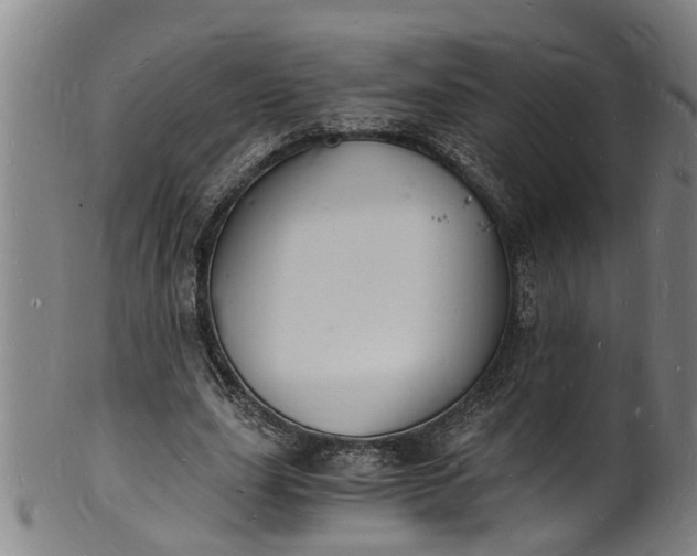 X0000101670631200807241441