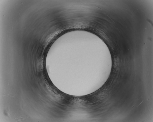 X0000101670632200807241441