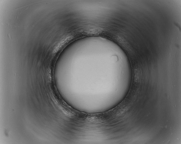X0000101670634200807241441