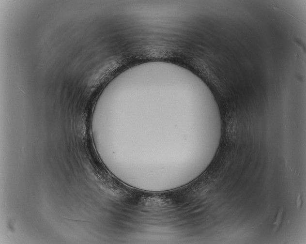 X0000101670635200807241441