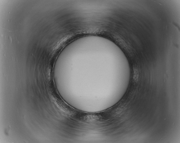 X0000101670636200807241441
