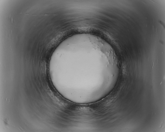 X0000101670637200807241441