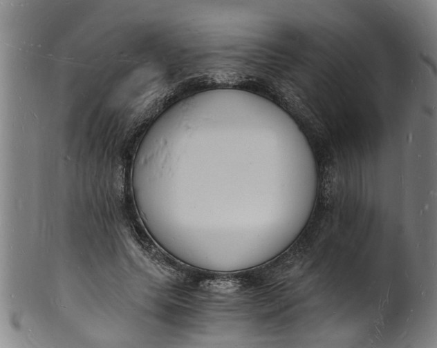 X0000101670639200807241441