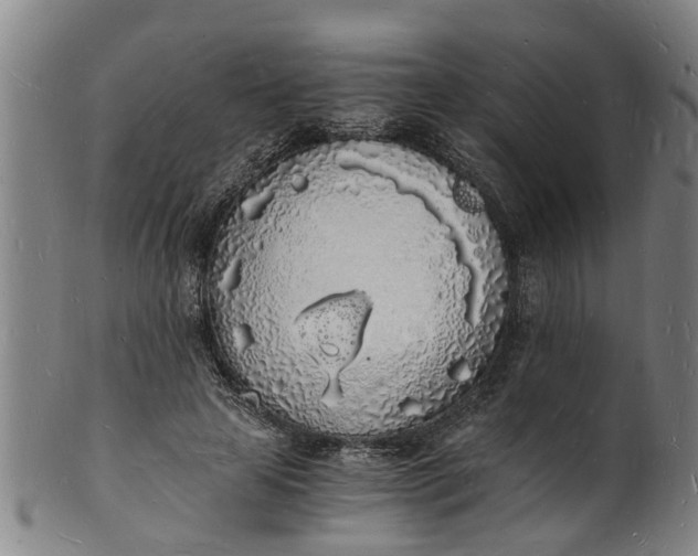 X0000101670641200807241441