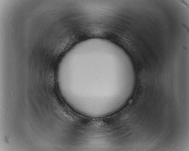 X0000101670642200807241441