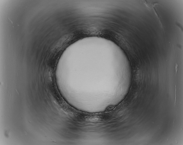 X0000101670643200807241441