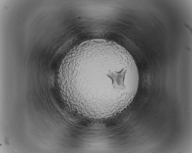 X0000101670644200807241441