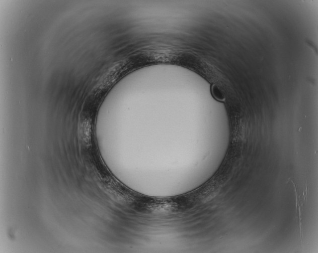 X0000101670646200807241441