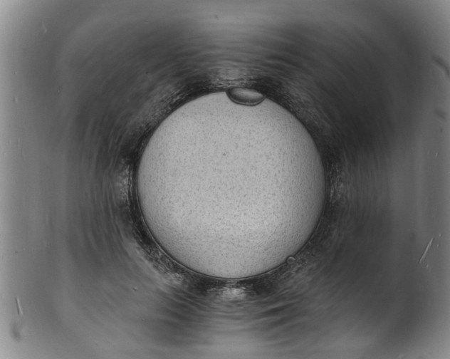X0000101670647200807241441