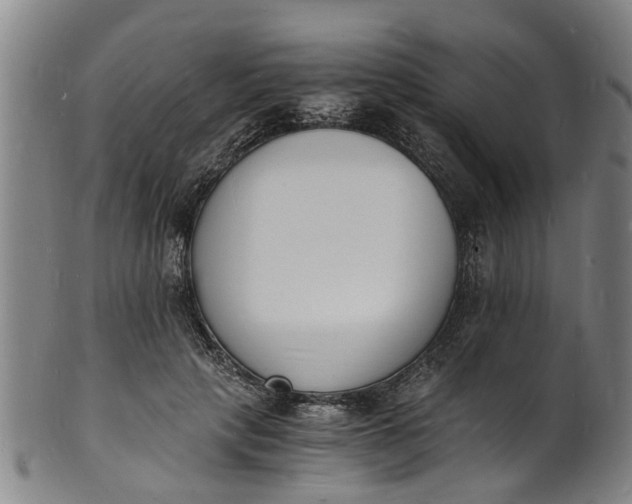X0000101670649200807241441