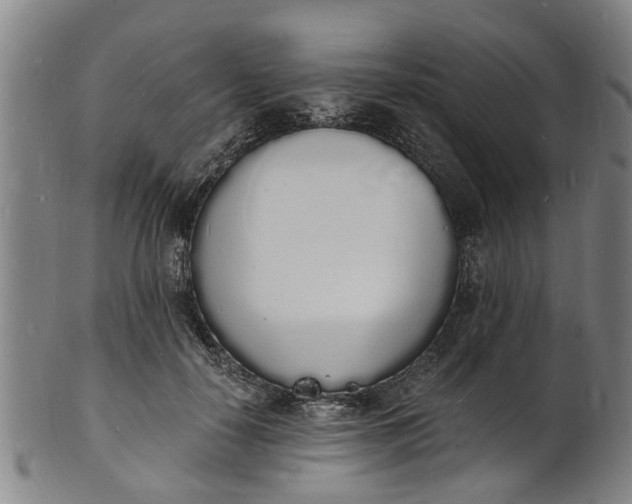 X0000101670650200807241441