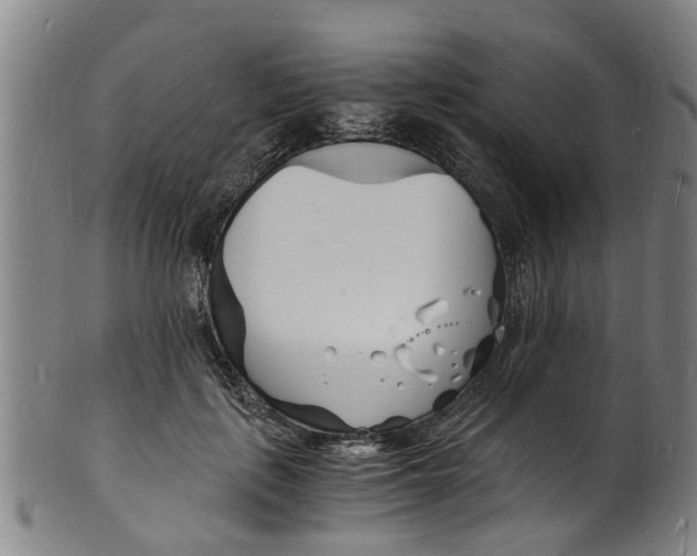 X0000101670651200807241441