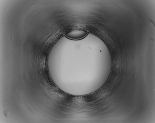 X0000101670652200807241441